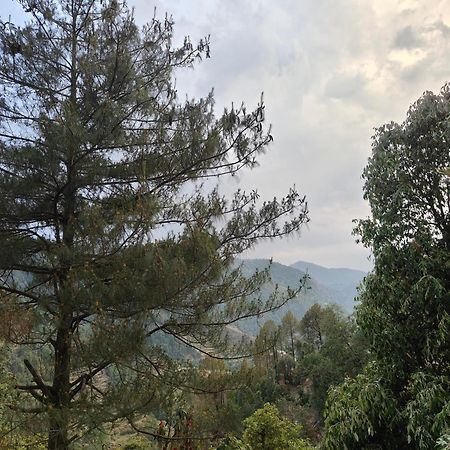 Himwanderer Camps & Cottages Pangot Nainital Exterior photo