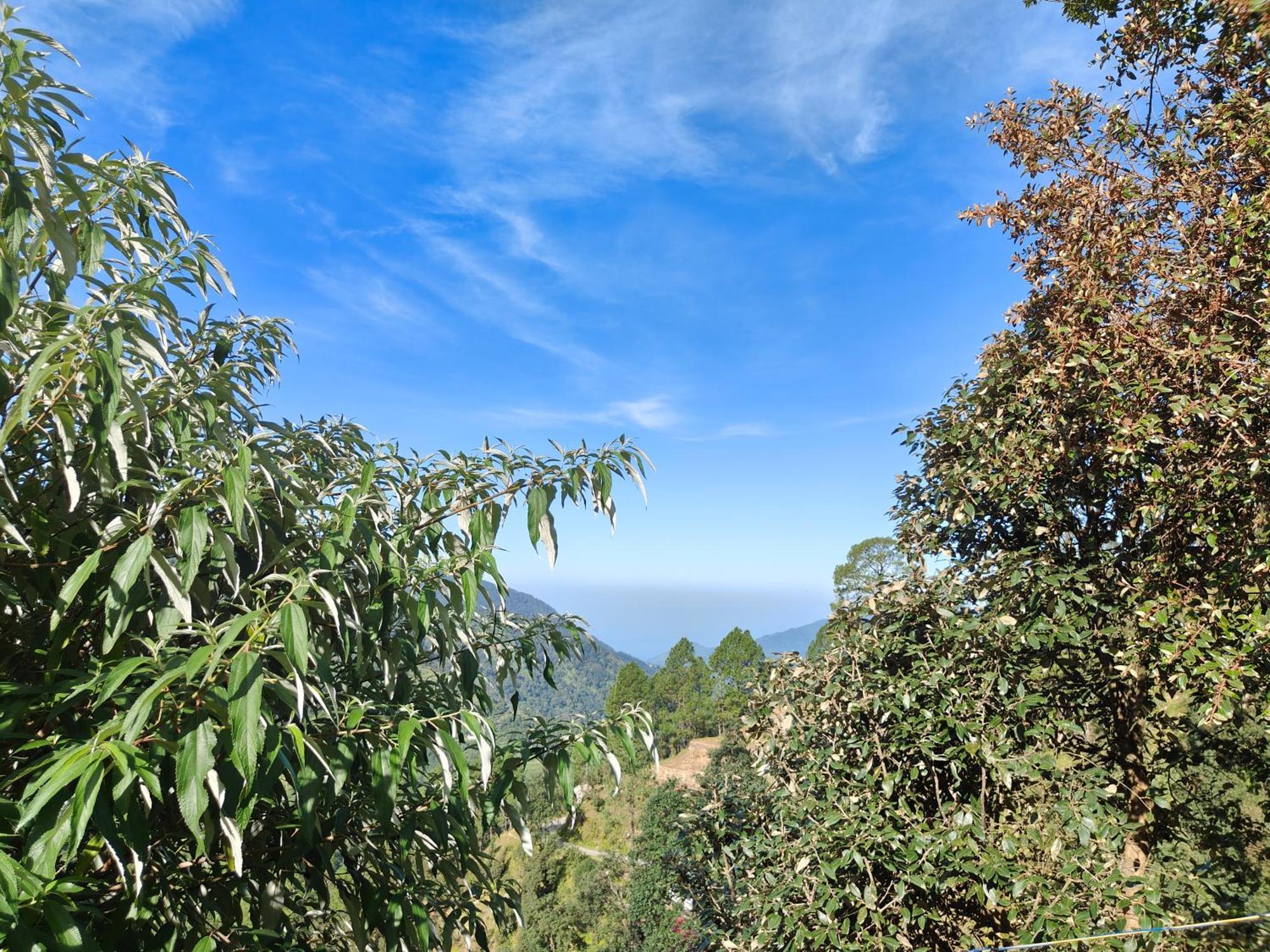 Himwanderer Camps & Cottages Pangot Nainital Exterior photo