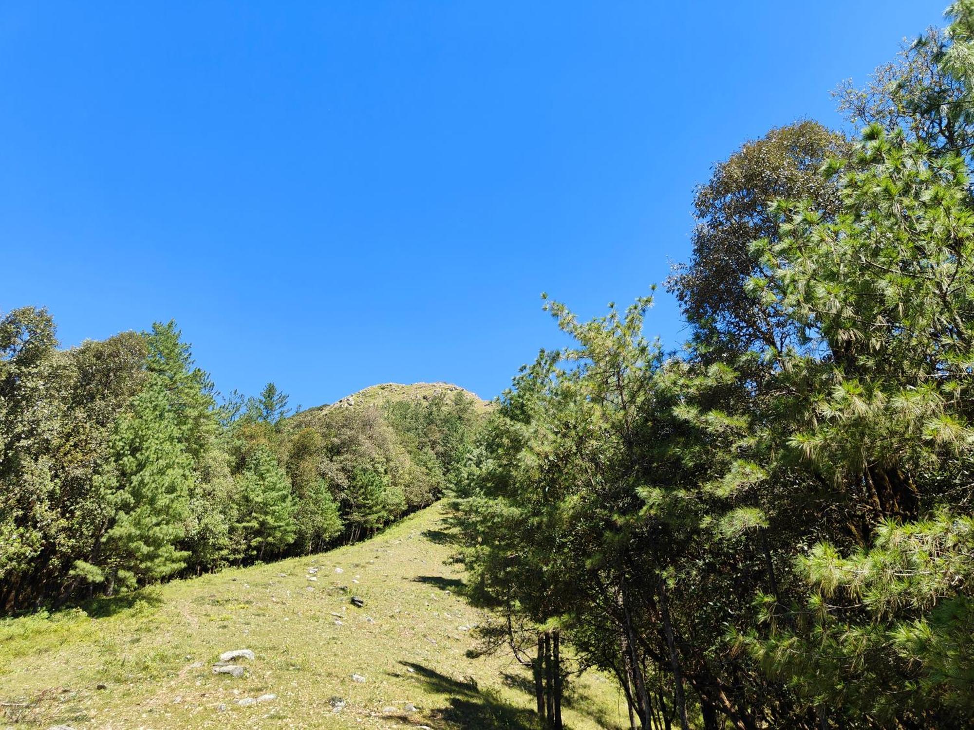 Himwanderer Camps & Cottages Pangot Nainital Exterior photo