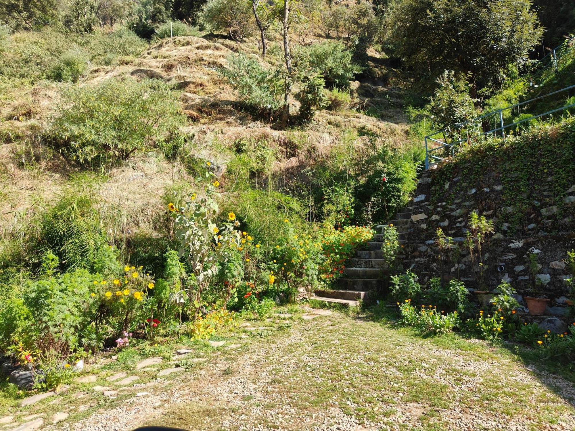 Himwanderer Camps & Cottages Pangot Nainital Exterior photo