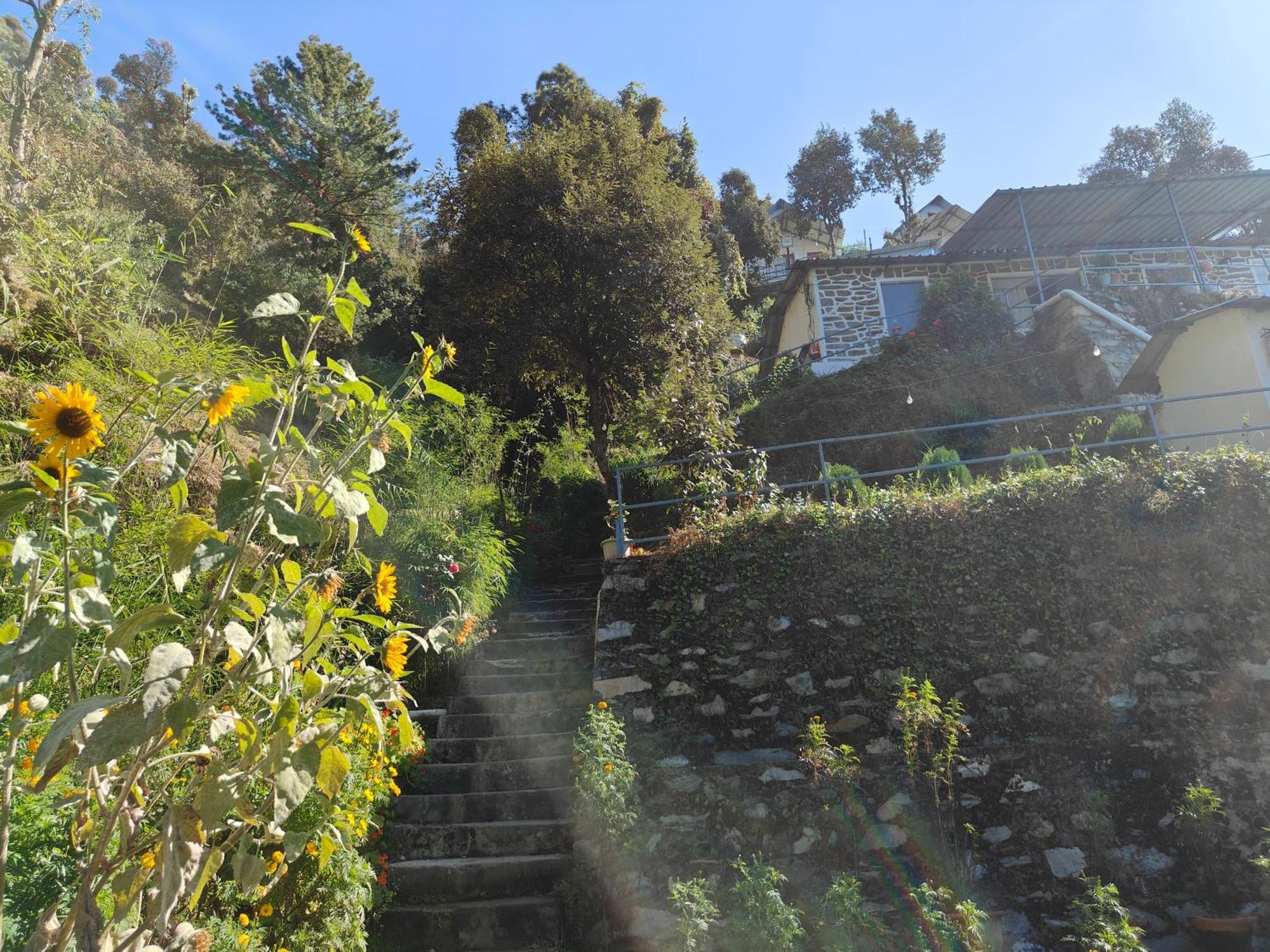 Himwanderer Camps & Cottages Pangot Nainital Exterior photo