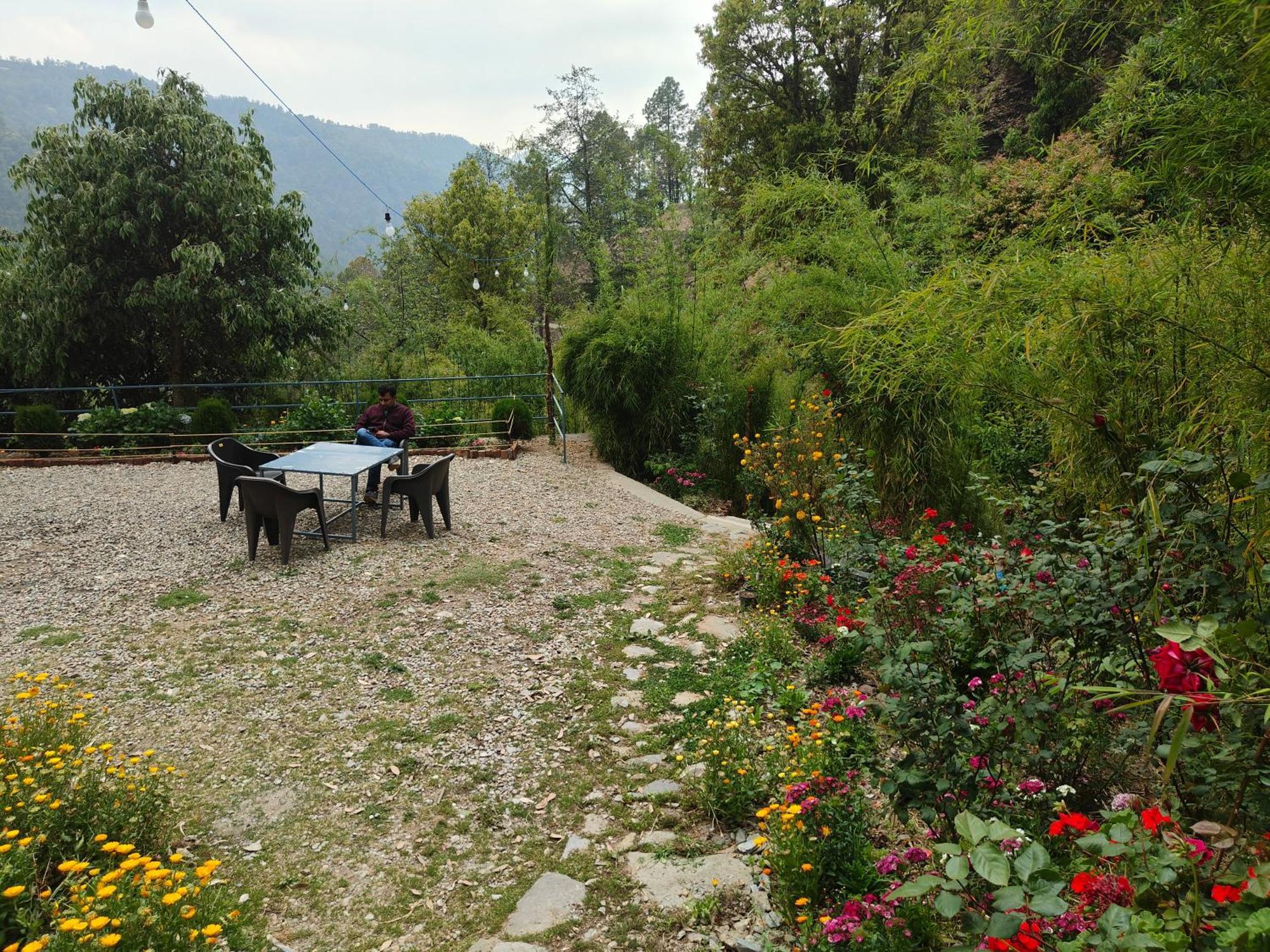 Himwanderer Camps & Cottages Pangot Nainital Exterior photo