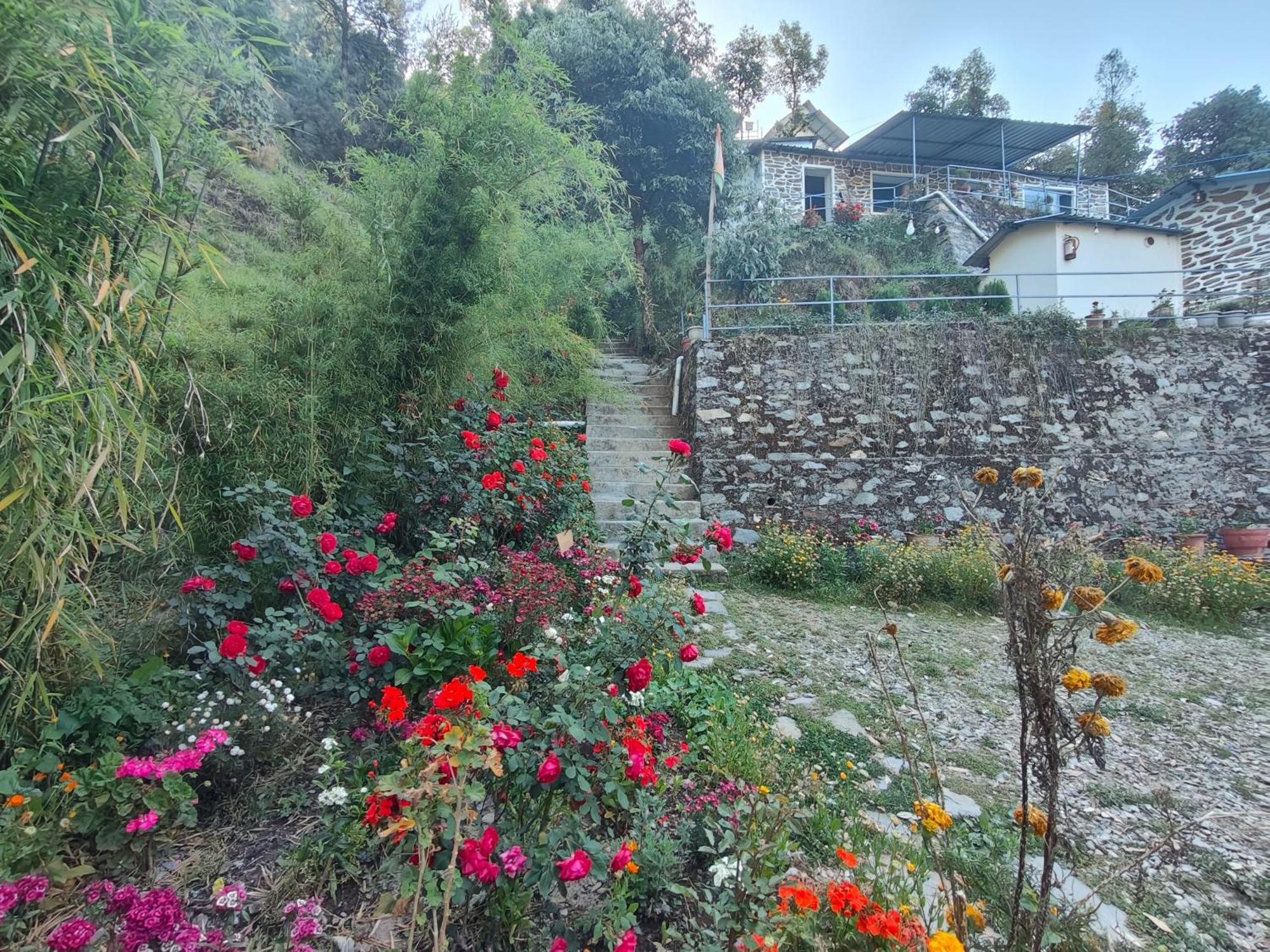 Himwanderer Camps & Cottages Pangot Nainital Exterior photo