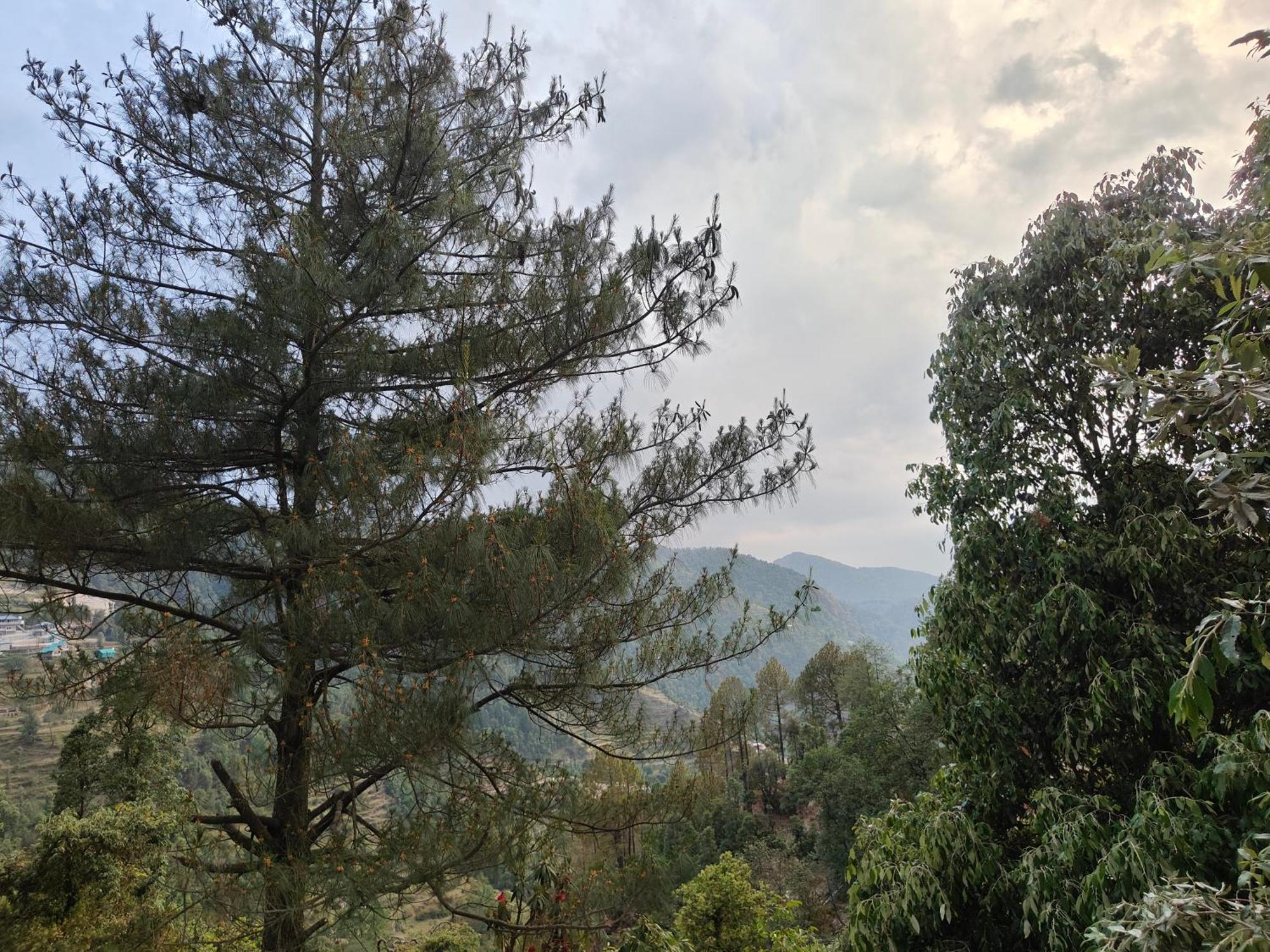 Himwanderer Camps & Cottages Pangot Nainital Exterior photo